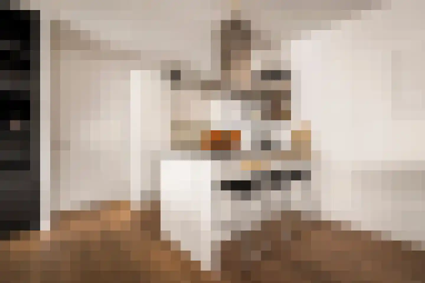 Memeleiland 176 Amsterdam thumbnail 16