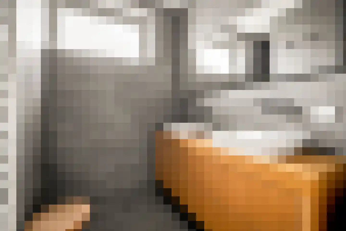 Memeleiland 176 Amsterdam thumbnail 19