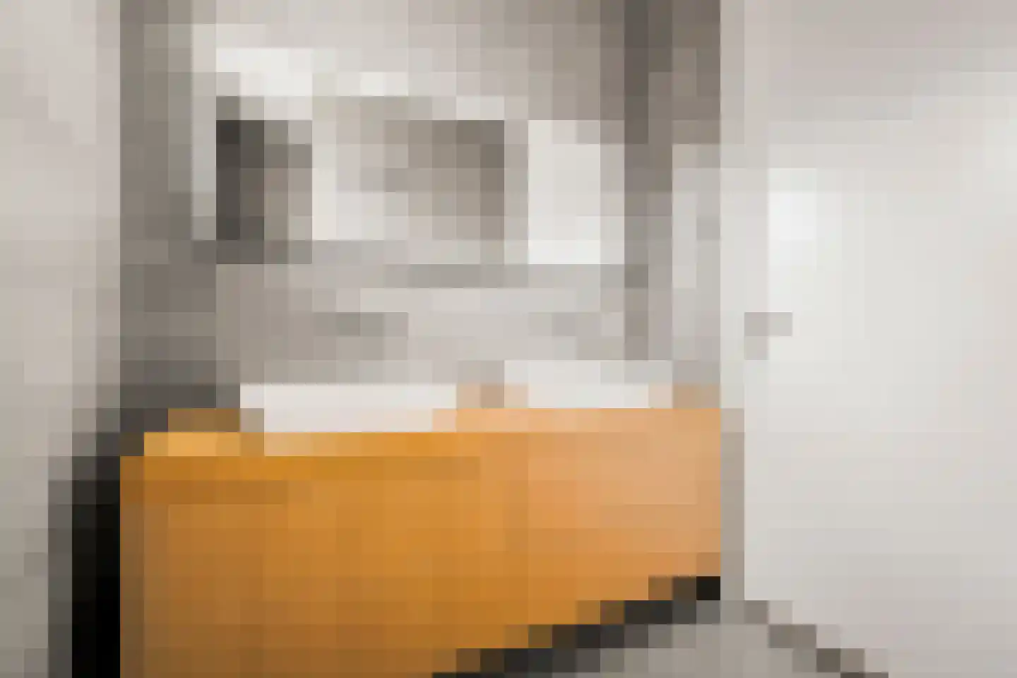 Memeleiland 176 Amsterdam thumbnail 21