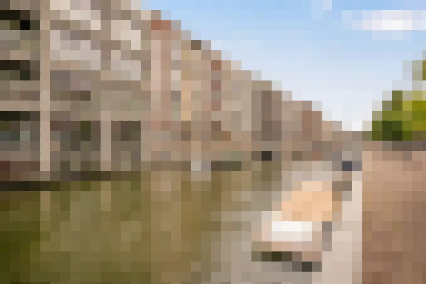 Memeleiland 176 Amsterdam thumbnail 38