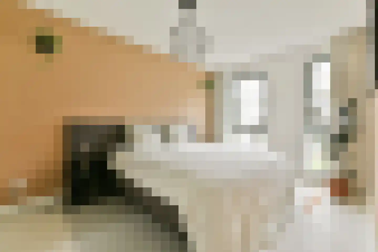 Memeleiland 26 Amsterdam thumbnail 20