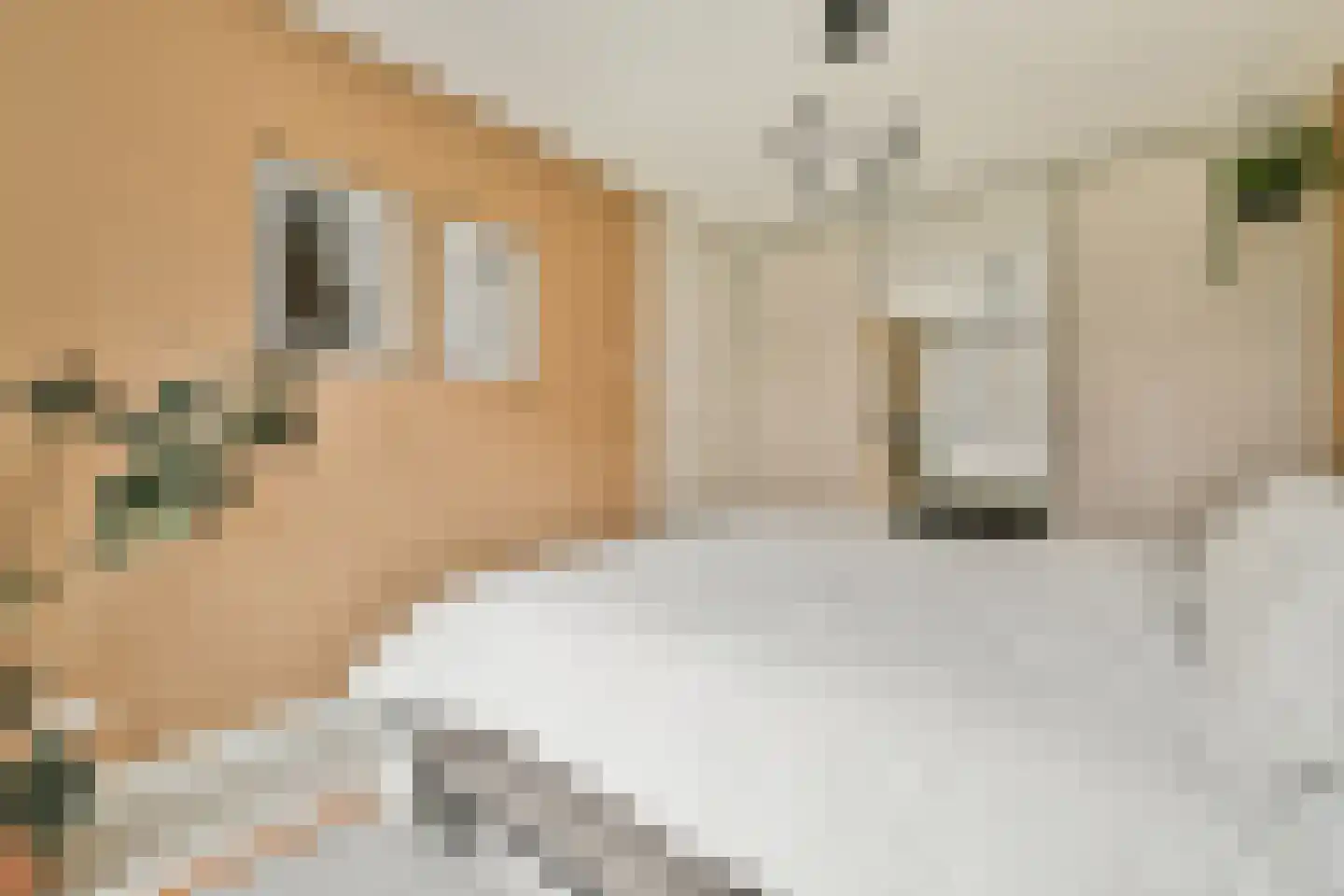 Memeleiland 26 Amsterdam thumbnail 21