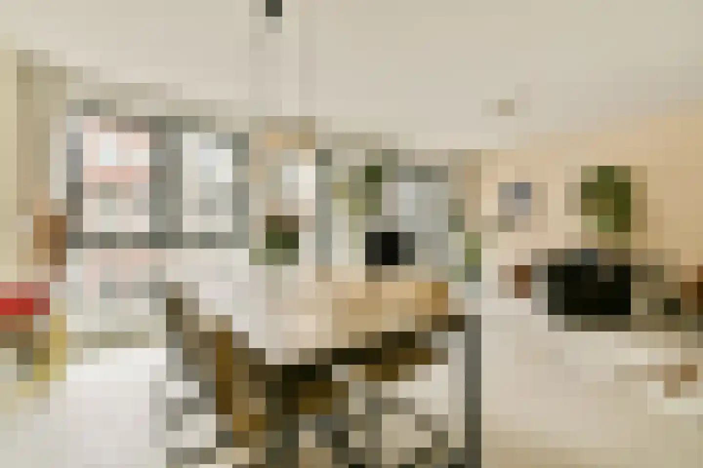 Memeleiland 26 Amsterdam thumbnail 7