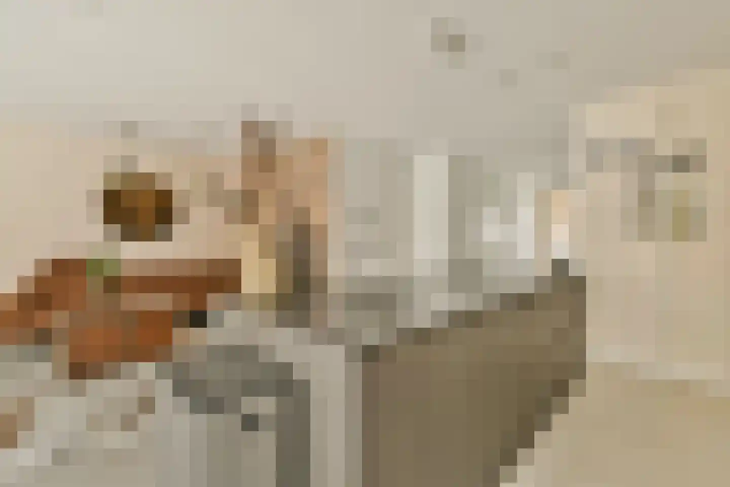 Memeleiland 26 Amsterdam thumbnail 9