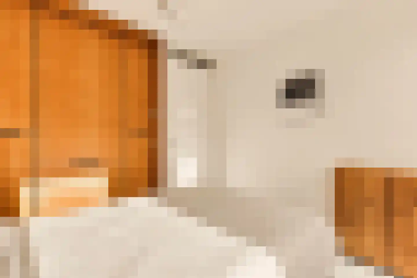 Memeleiland 28 Amsterdam thumbnail 22