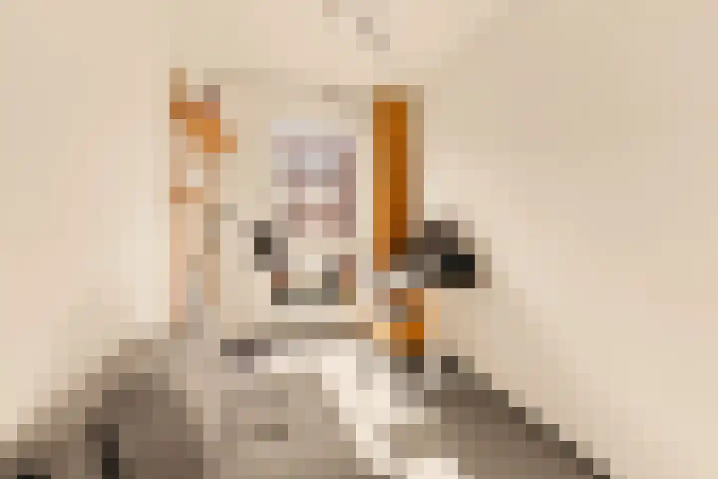 Memeleiland 28 Amsterdam thumbnail 24