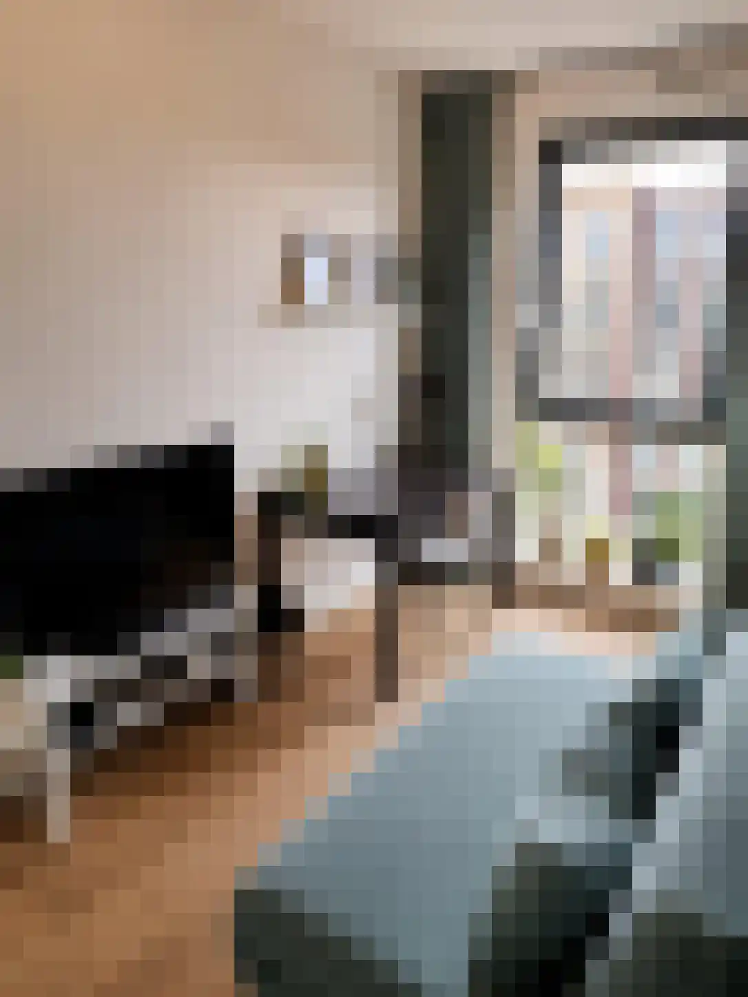 Memeleiland 32 Amsterdam thumbnail 5