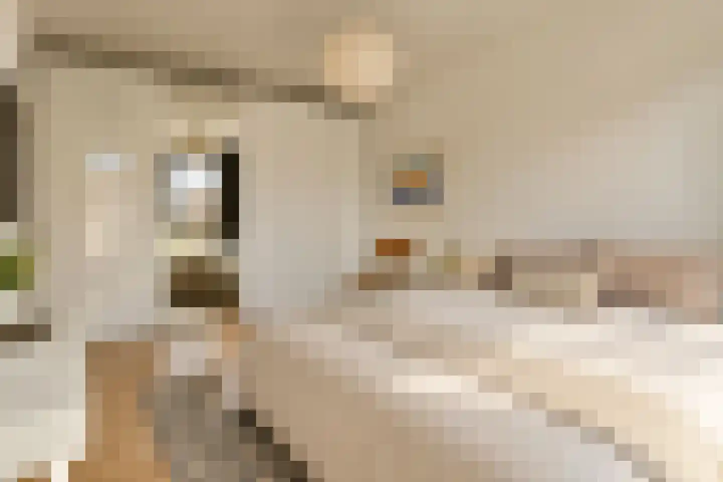 Memeleiland 34 Amsterdam thumbnail 21