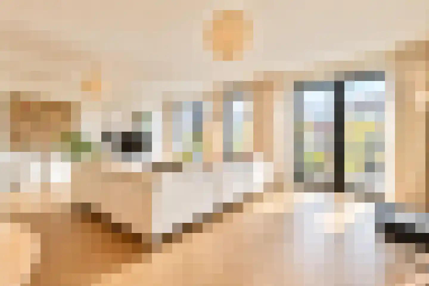Memeleiland 34 Amsterdam thumbnail 4