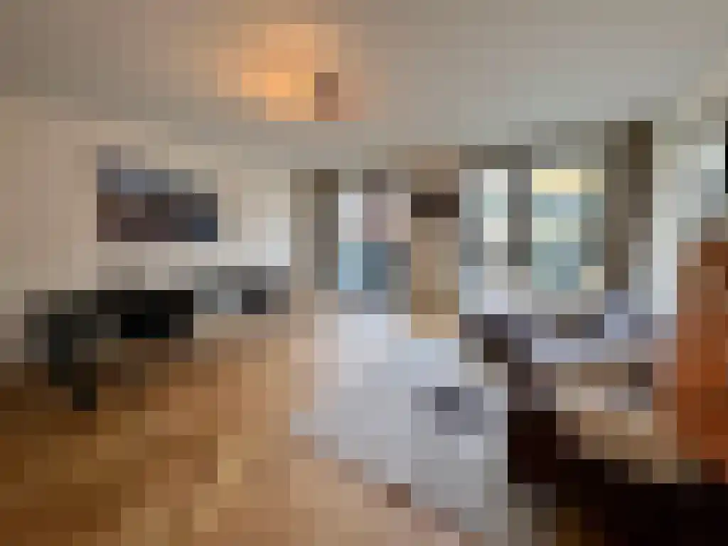 Memeleiland 48 Amsterdam thumbnail 5