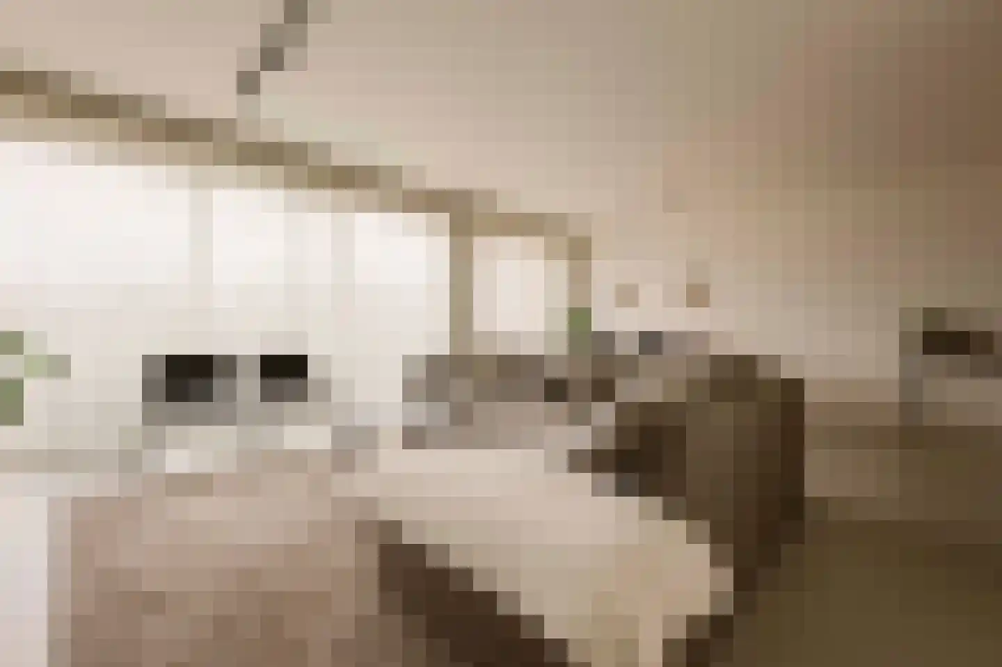 Memeleiland 49 Amsterdam thumbnail 10