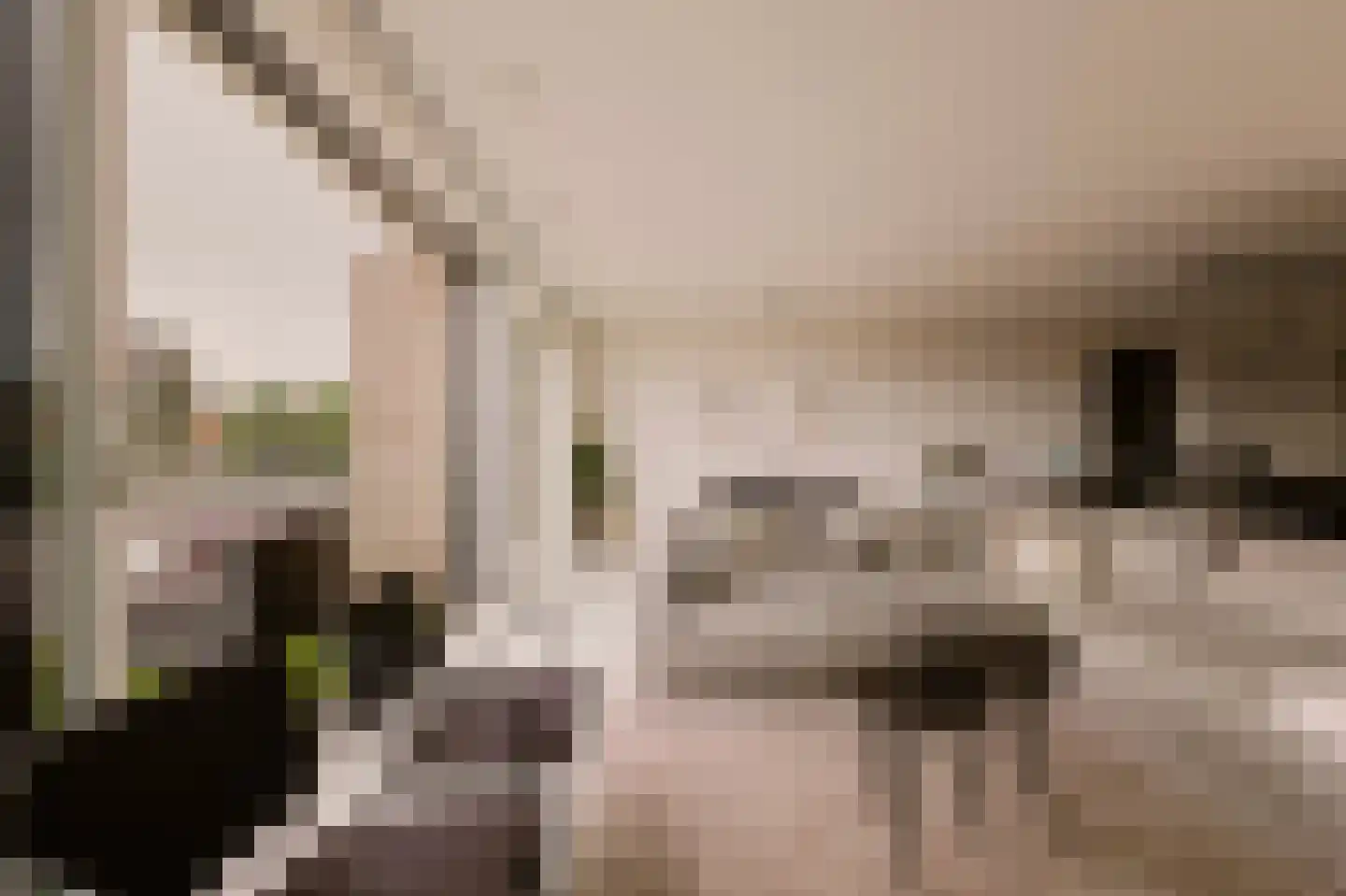 Memeleiland 49 Amsterdam thumbnail 13