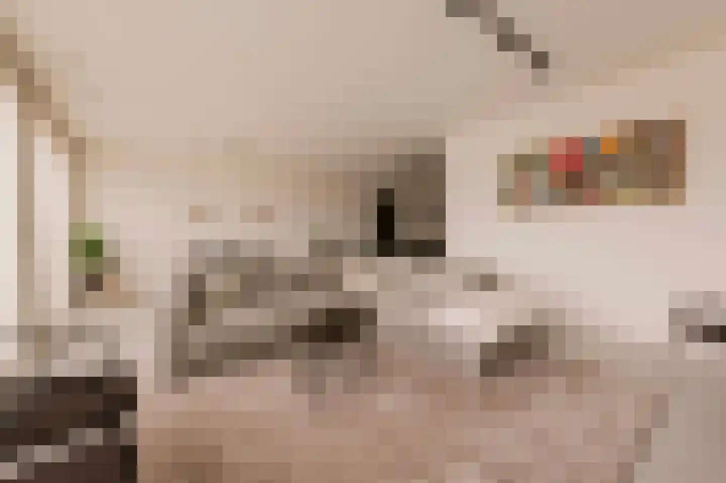 Memeleiland 49 Amsterdam thumbnail 15