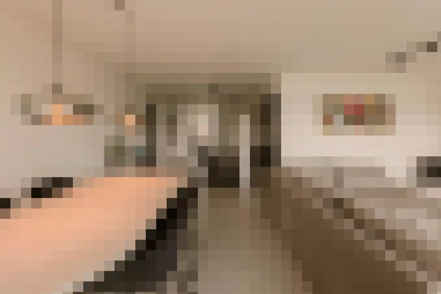Memeleiland 49 Amsterdam thumbnail 16