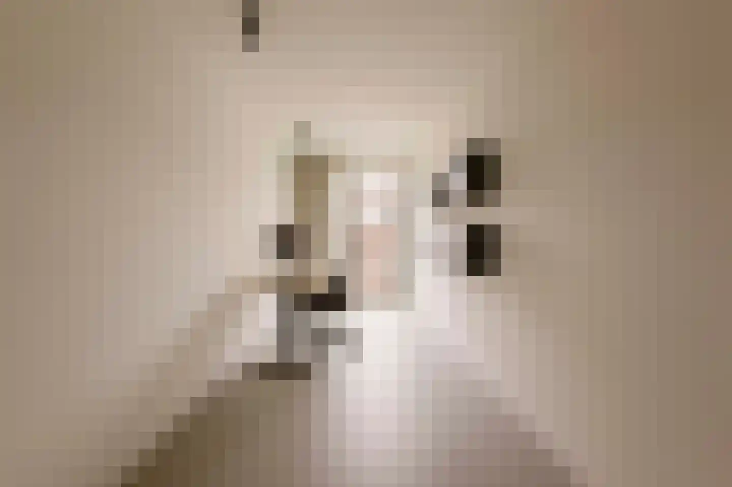 Memeleiland 49 Amsterdam thumbnail 19