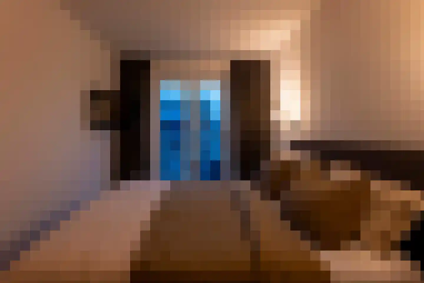 Memeleiland 49 Amsterdam thumbnail 20