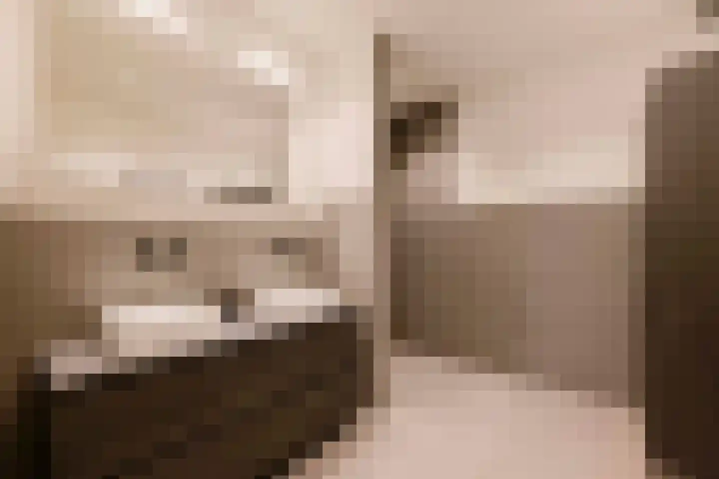 Memeleiland 49 Amsterdam thumbnail 24