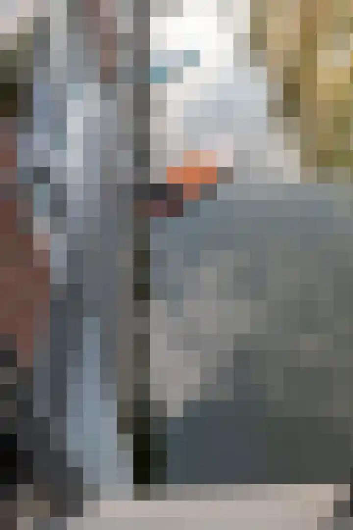 Memeleiland 58 Amsterdam thumbnail 10