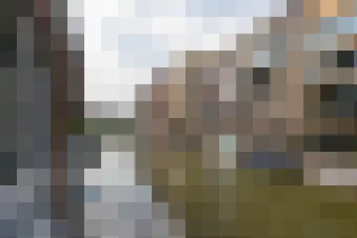 Memeleiland 58 Amsterdam thumbnail 17