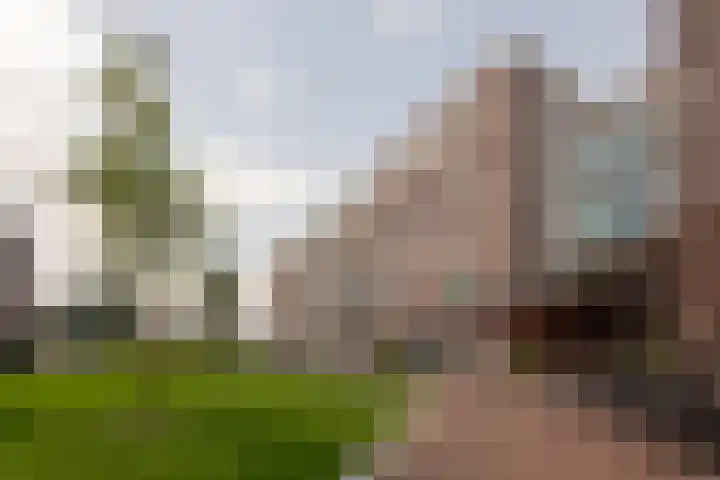 Memeleiland 58 Amsterdam thumbnail 20