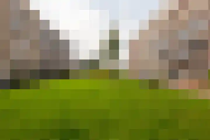 Memeleiland 58 Amsterdam thumbnail 21