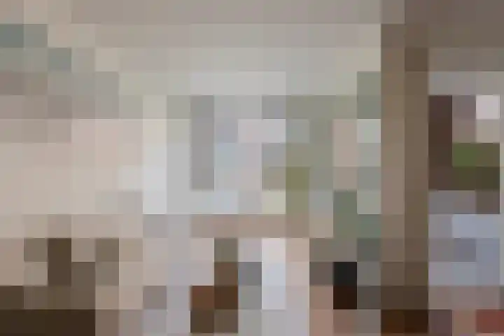 Memeleiland 58 Amsterdam thumbnail 7