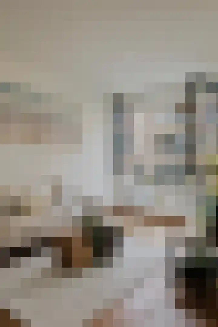 Memeleiland 58 Amsterdam thumbnail 8