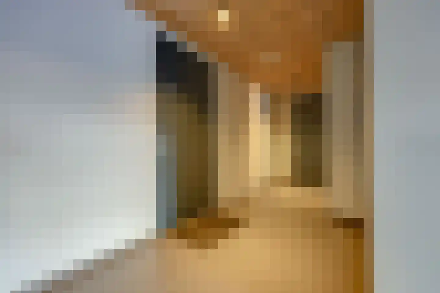 Memeleiland 65 Amsterdam thumbnail 34