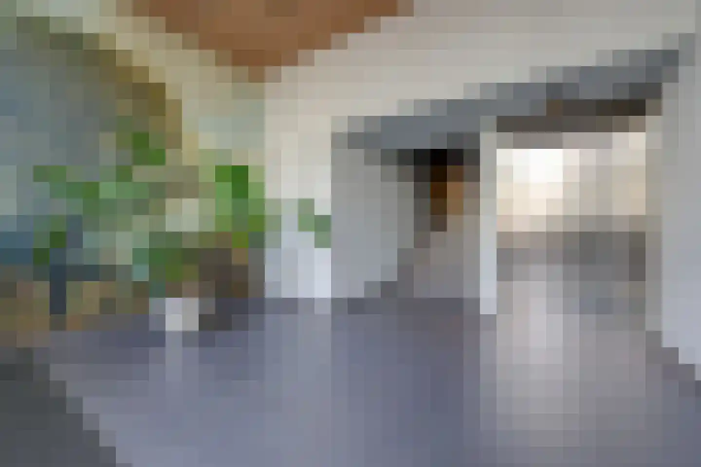 Memeleiland 65 Amsterdam thumbnail 36