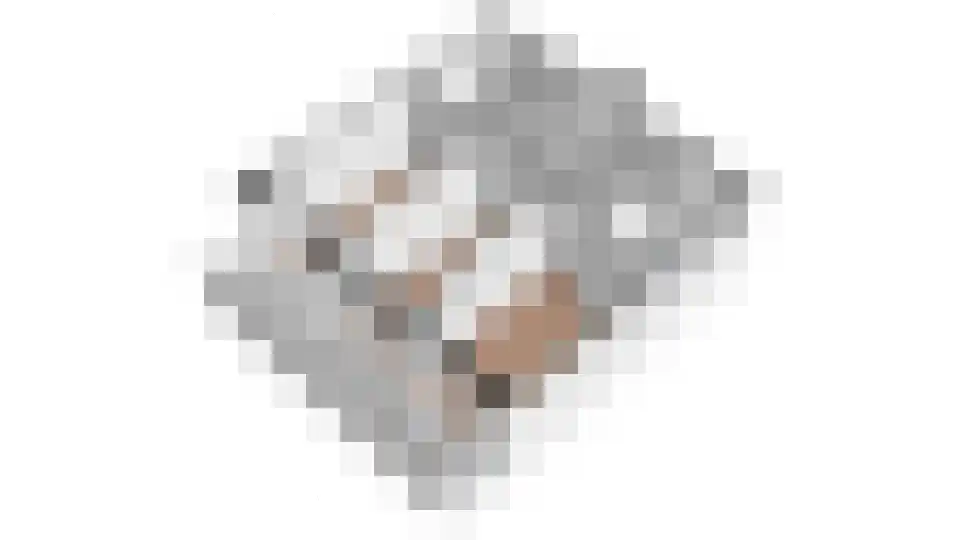 Memeleiland 65 Amsterdam thumbnail 48