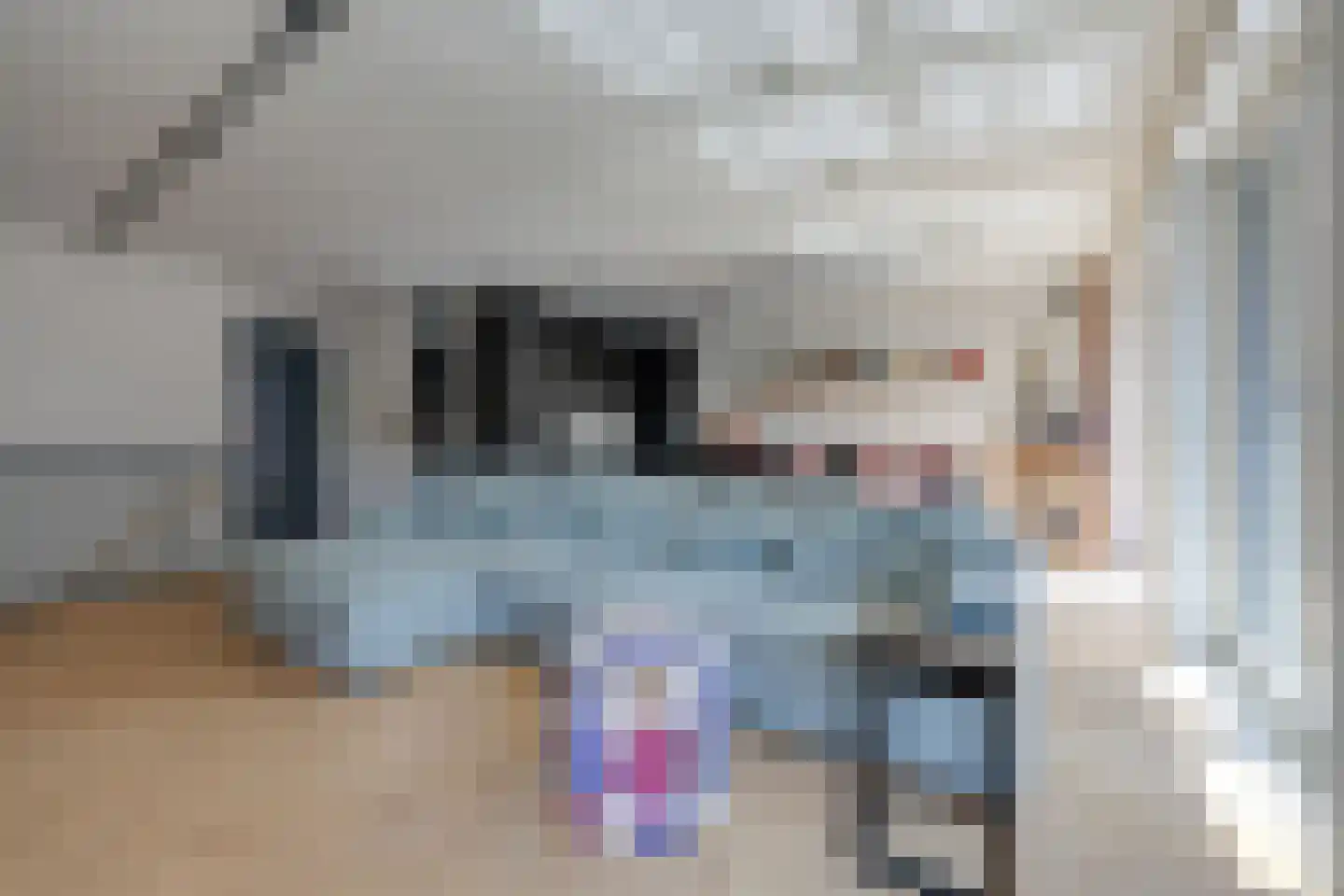 Memeleiland 65 Amsterdam thumbnail 5