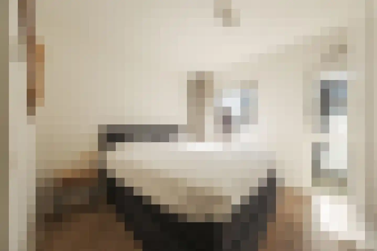 Memeleiland 82 Amsterdam thumbnail 19