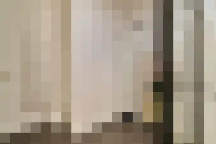 Memeleiland 91 Amsterdam thumbnail 14