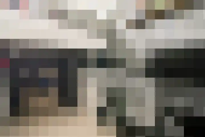 Memeleiland 91 Amsterdam thumbnail 17