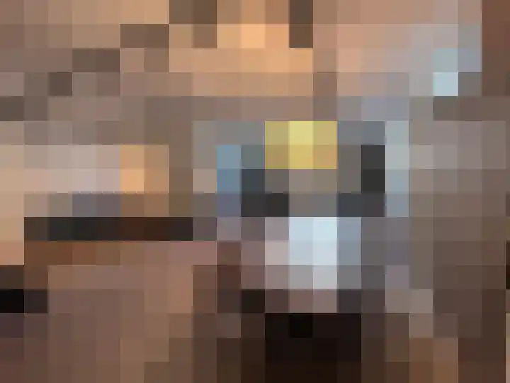 Memeleiland 91 Amsterdam thumbnail 35