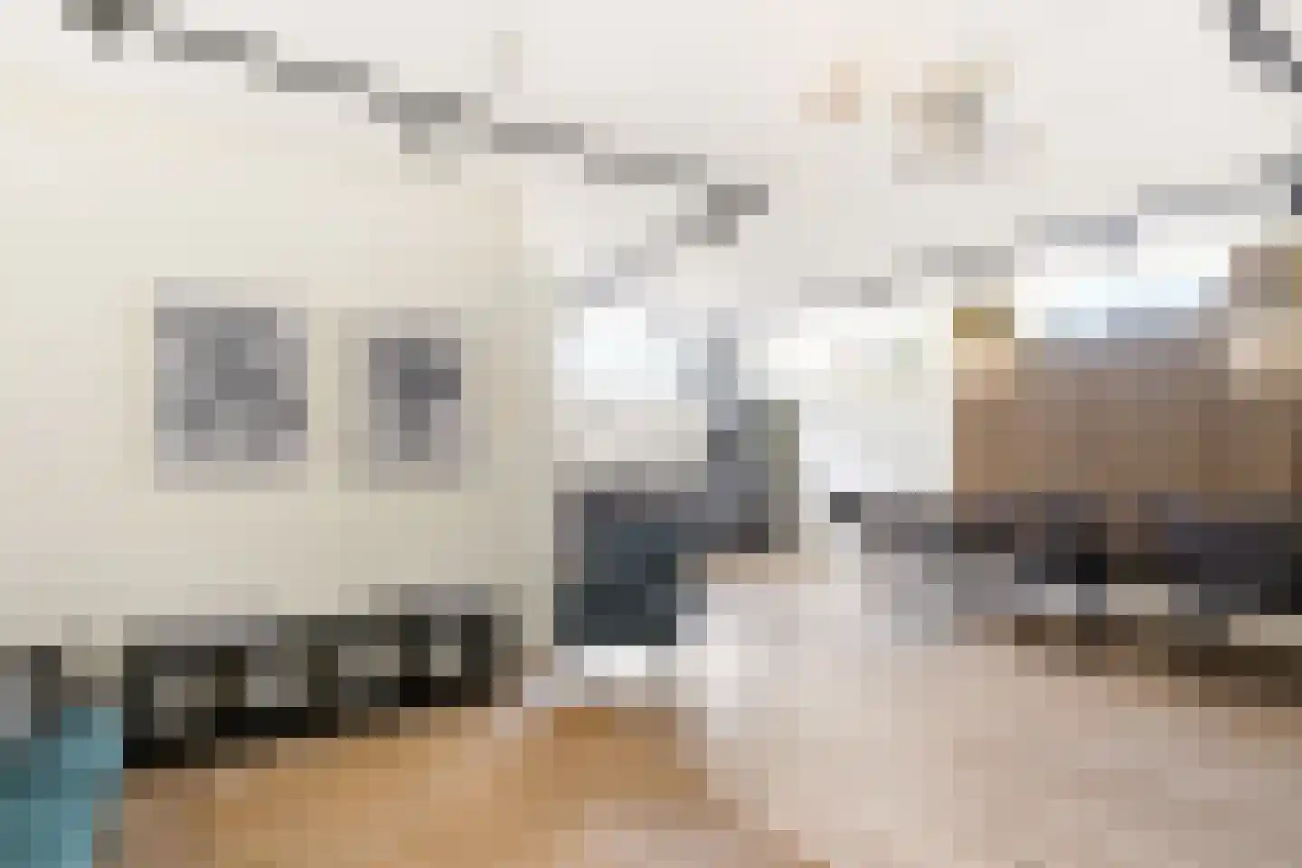 Memeleiland 91 Amsterdam thumbnail 38