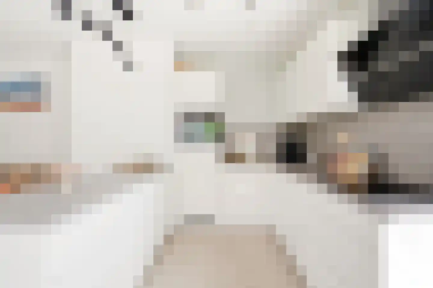 Memeleiland 91 Amsterdam thumbnail 4