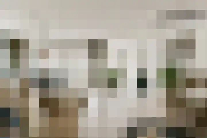 Memeleiland 91 Amsterdam thumbnail 6