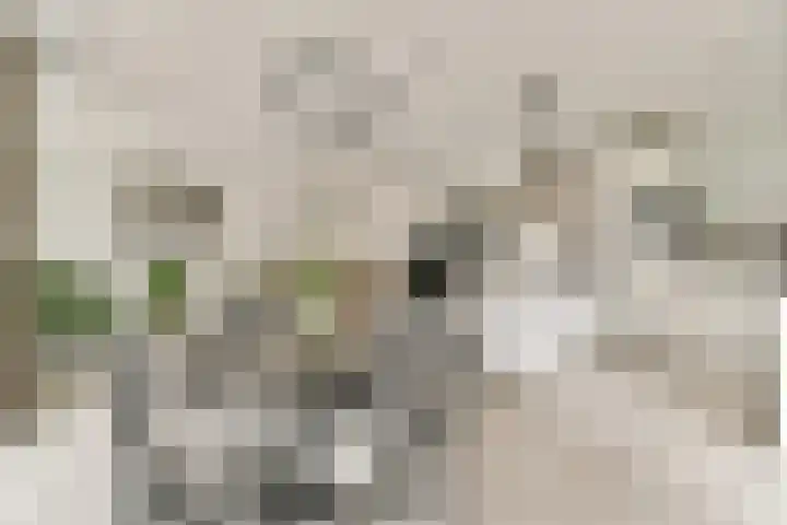 Memeleiland 91 Amsterdam thumbnail 7