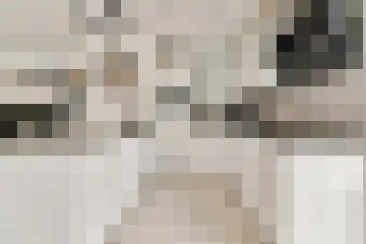 Memeleiland 91 Amsterdam thumbnail 8