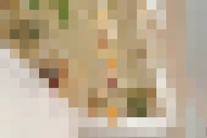 Memeleiland 93 Amsterdam thumbnail 24
