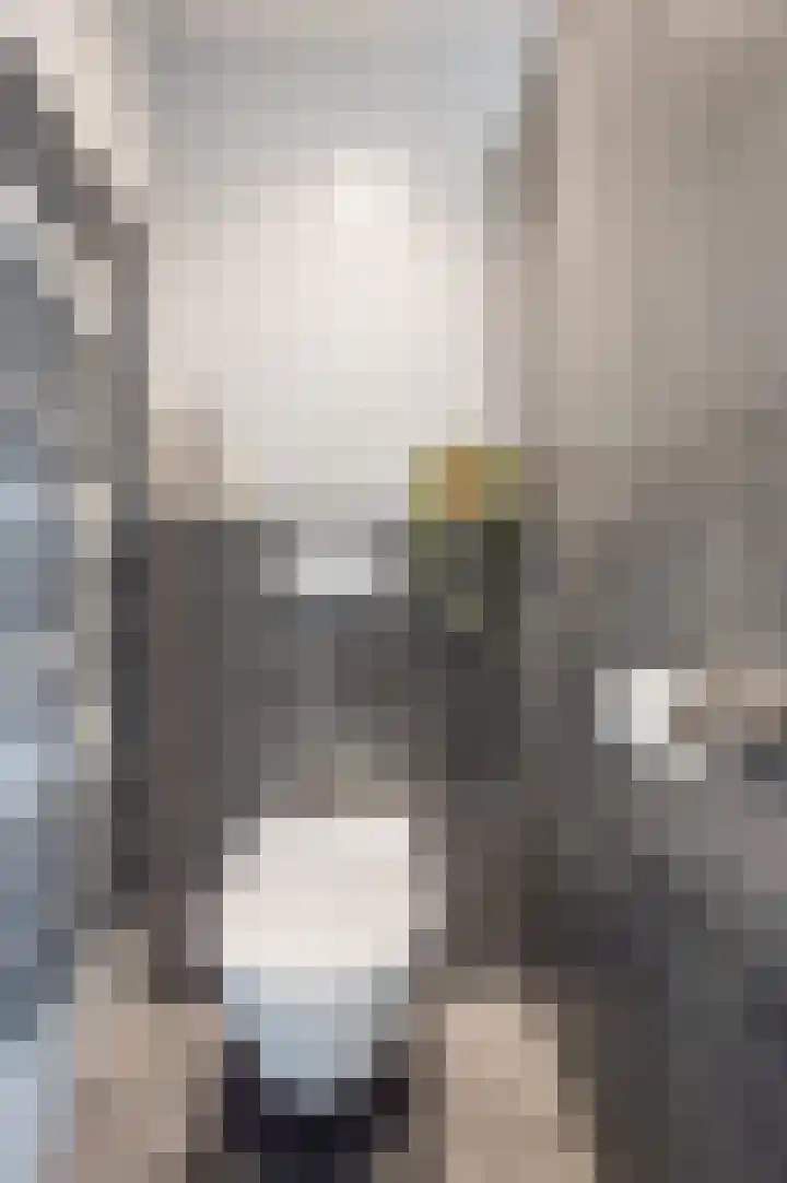 Memelstraat 14 Lelystad thumbnail 32