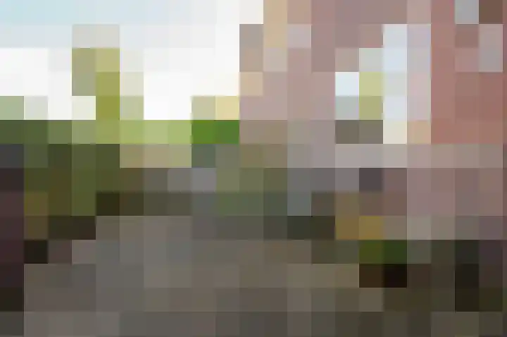 Memelstraat 14 Lelystad thumbnail 47