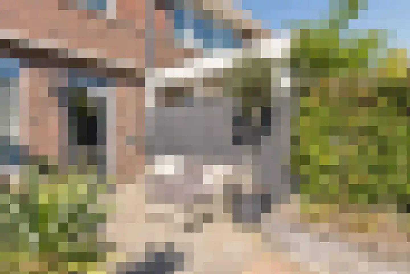Memelstraat 8 Lelystad thumbnail 31
