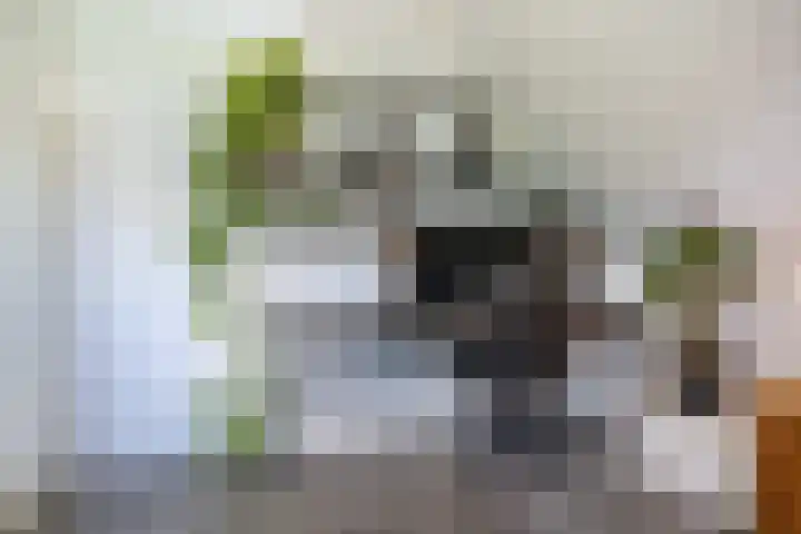 Memerdastate 17 Hallum thumbnail 24