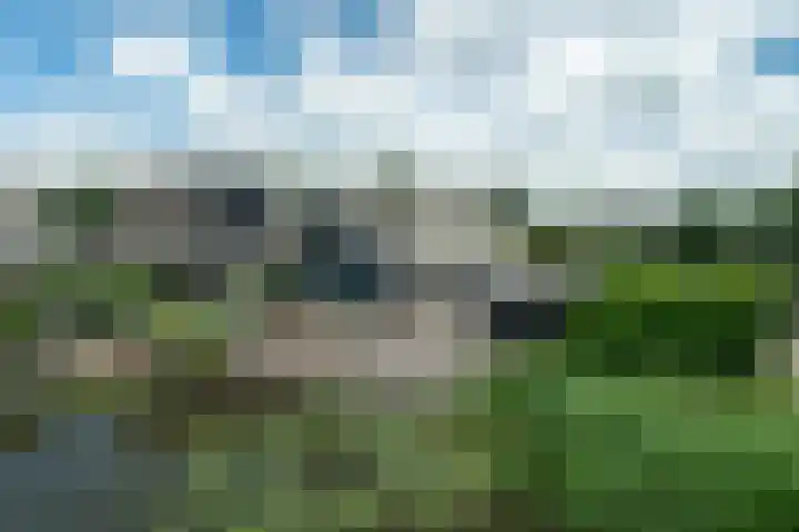 Memerdastate 17 Hallum thumbnail 31