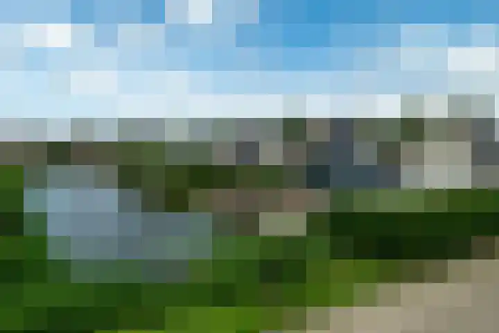 Memerdastate 17 Hallum thumbnail 45