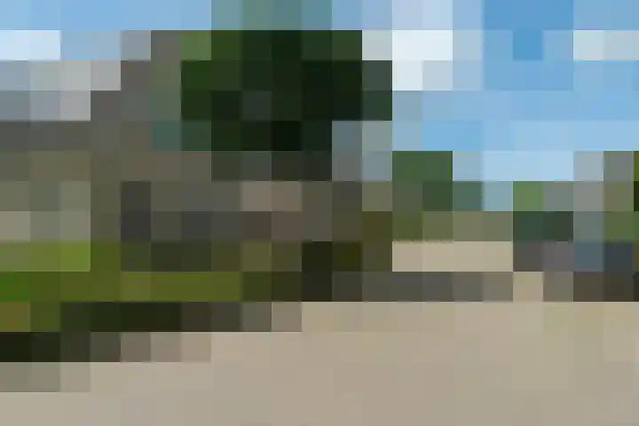 Memerdastate 17 Hallum thumbnail 48