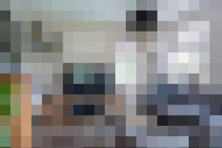 Memerdastate 17 Hallum thumbnail 6