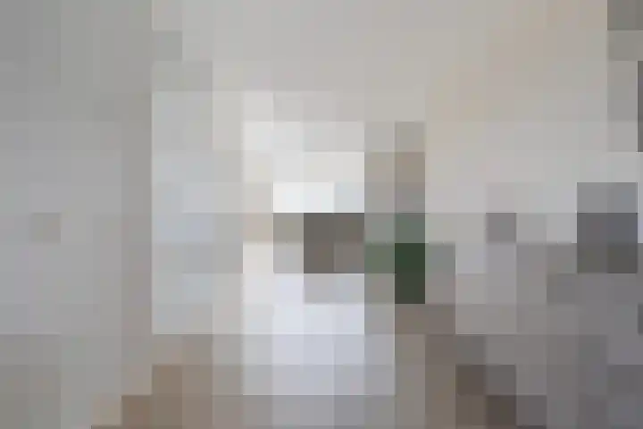Memerdastate 6 Hallum thumbnail 11